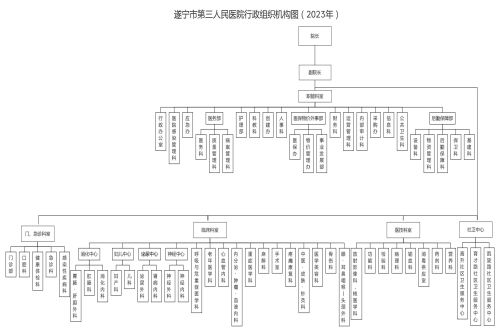 遂宁市第三人民医院行政组织机构图（2023年）